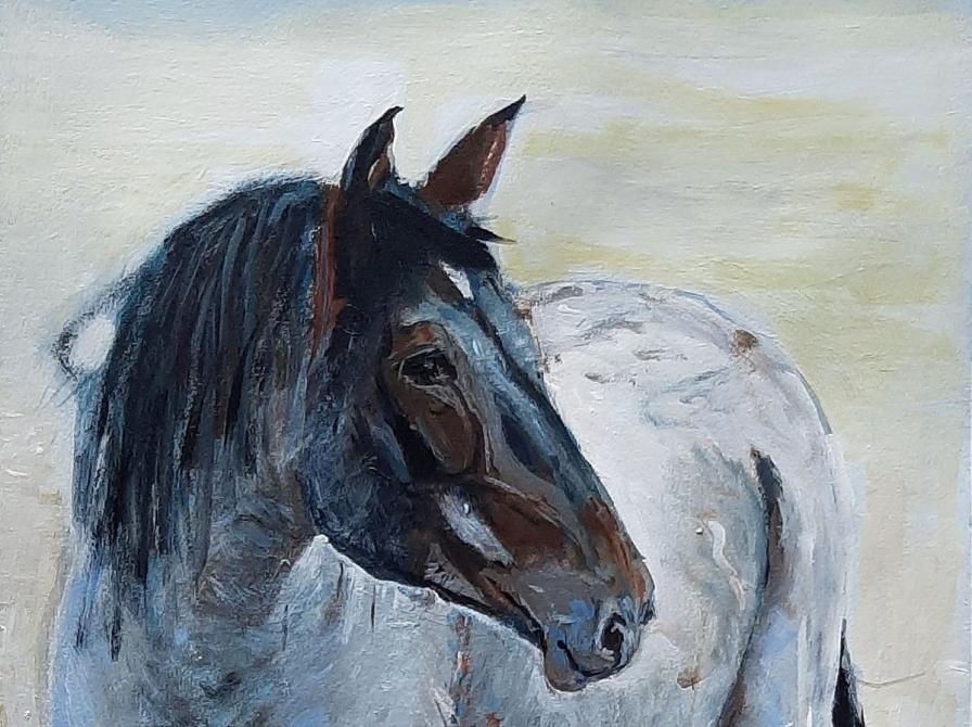 Hvid hest med sort hoved